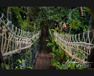 Thailand Hängebrücke zum Baumhauscafe